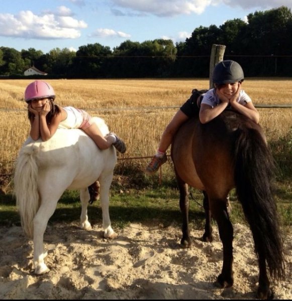 LES ECURIES DES COURDRIERS EARL - photo 1