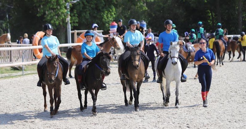 Les Écuries de Saint Yon - photo 2