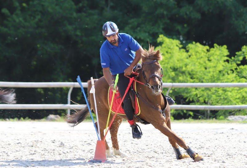 Les Écuries de Saint Yon - photo 3
