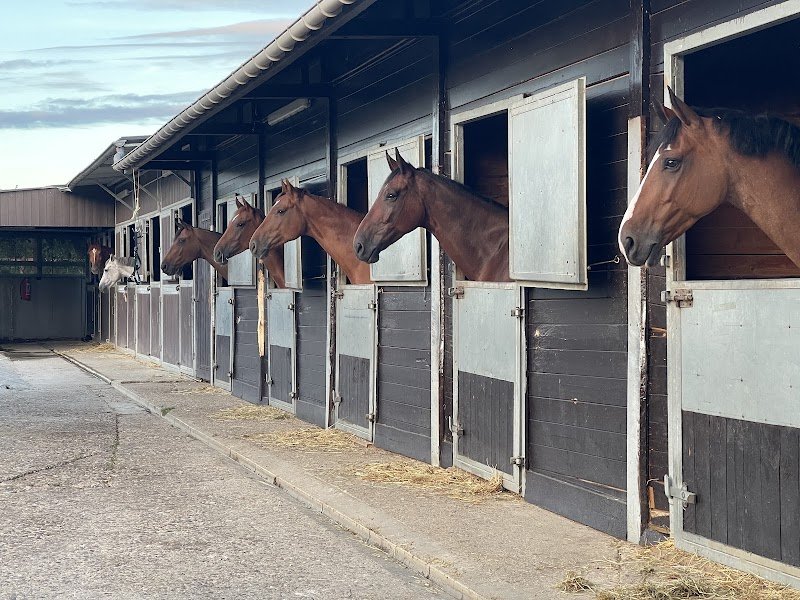 Ecurie Fape - photo 2