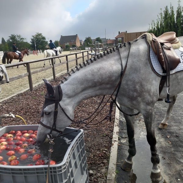 Ecurie Fape - photo 3