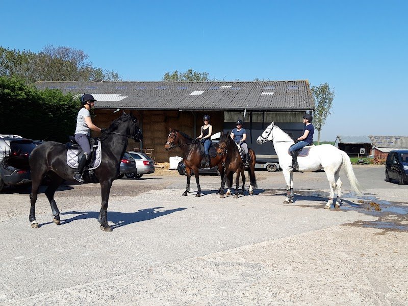 Les Ecuries de Momalle - photo 1