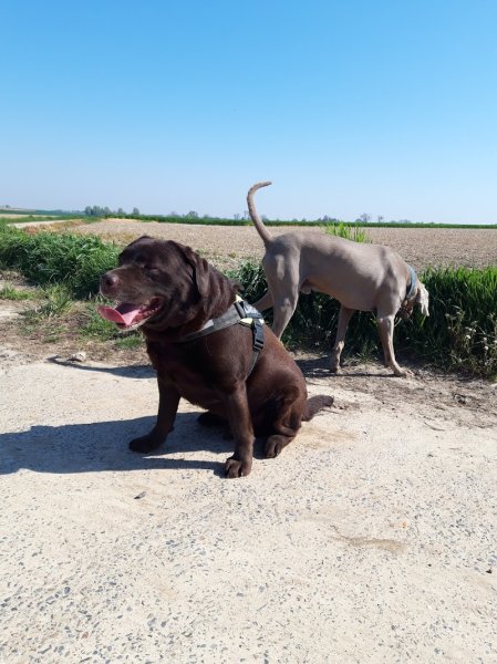 Les Ecuries de Momalle - photo 3