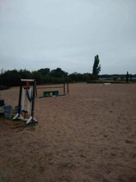 Infinity Horses - photo 3