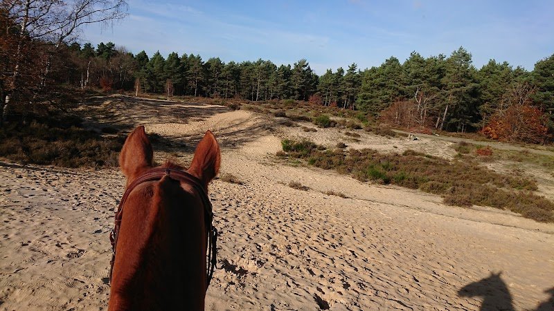 Ecuries de Montdenis - photo 1