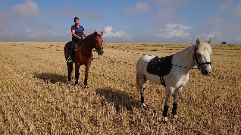Ecuries de Montdenis - photo 2