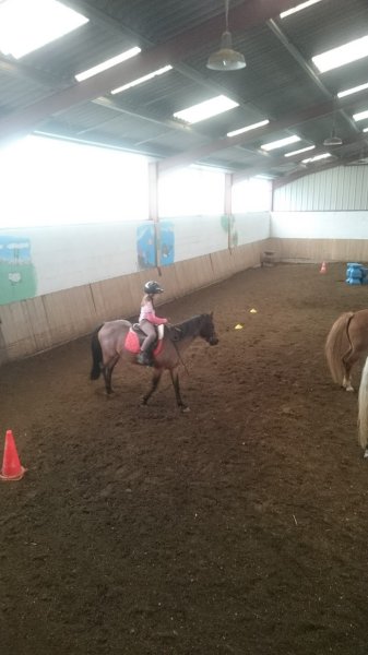 Cercle hippique Chaumont-Choignes - photo 1