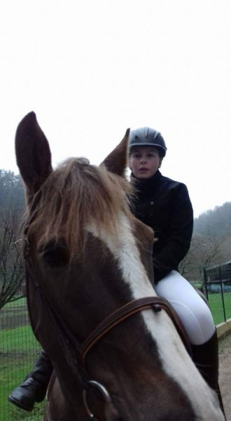 Cercle hippique Chaumont-Choignes - photo 2