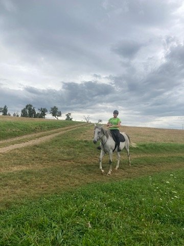 CENTRE DE TOURISME ÉQUESTRE DE LA LIEZ - photo 2