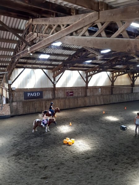 Centre équestre de melville - photo 3