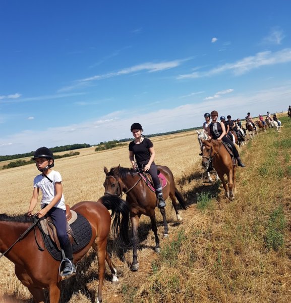 Cercle Hippique Nogentais - photo 2