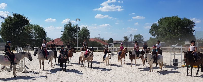 Cercle Hippique Nogentais - photo 3