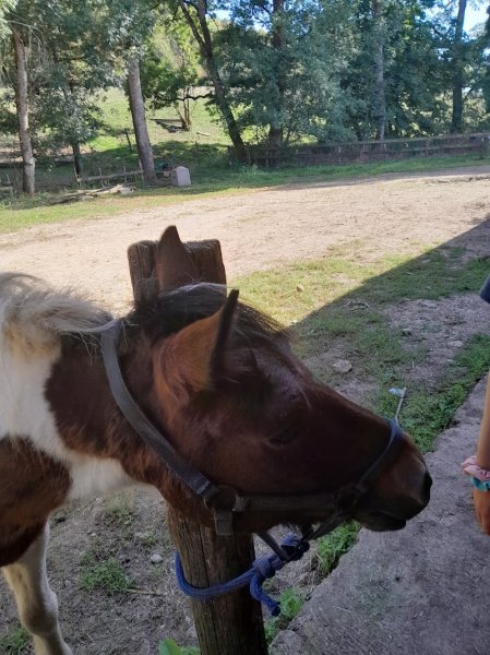 Ferme Equestre Du Val Arbin - photo 2
