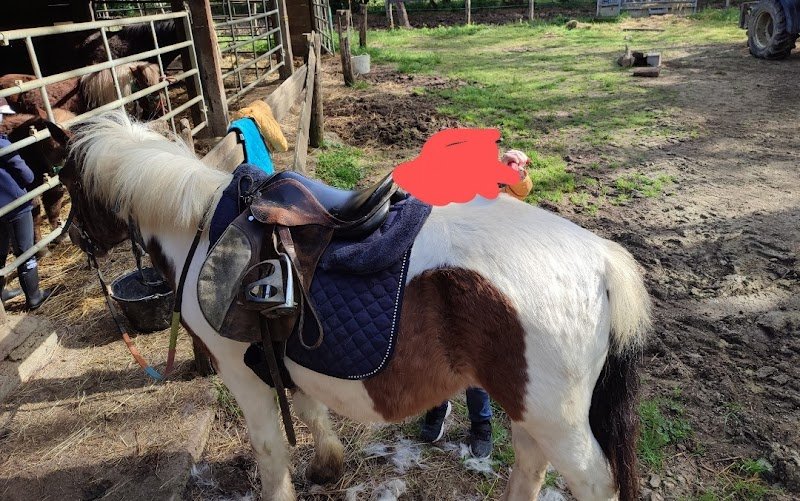 Ferme Equestre Du Val Arbin - photo 3