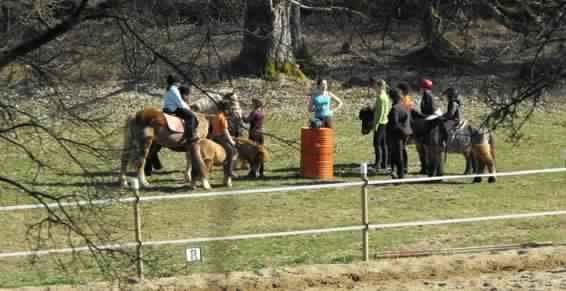 CENTRE EQUESTRE DU PARC - photo 2