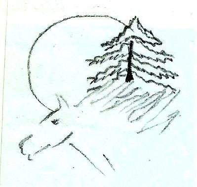 Ferme équestre du grand sapin - photo 3