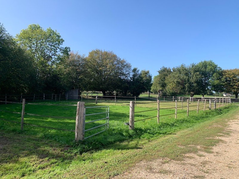 Ecurie Hélène Thomas - photo 1