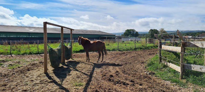 Ferme équestre d'Yggdrasil - photo 1