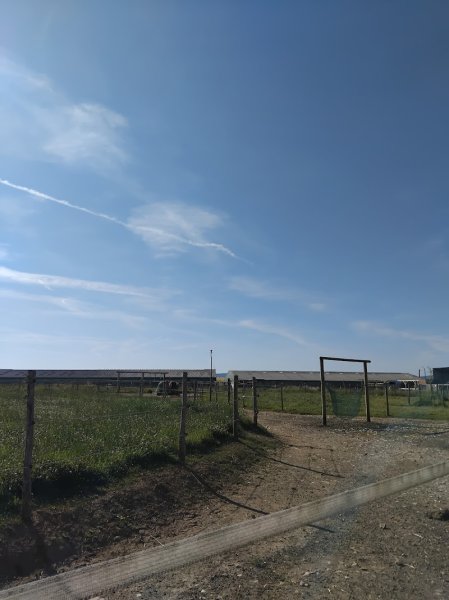 Ferme équestre d'Yggdrasil - photo 3