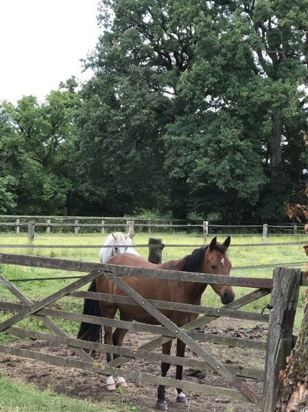 Centre Equestre de Melay - photo 3