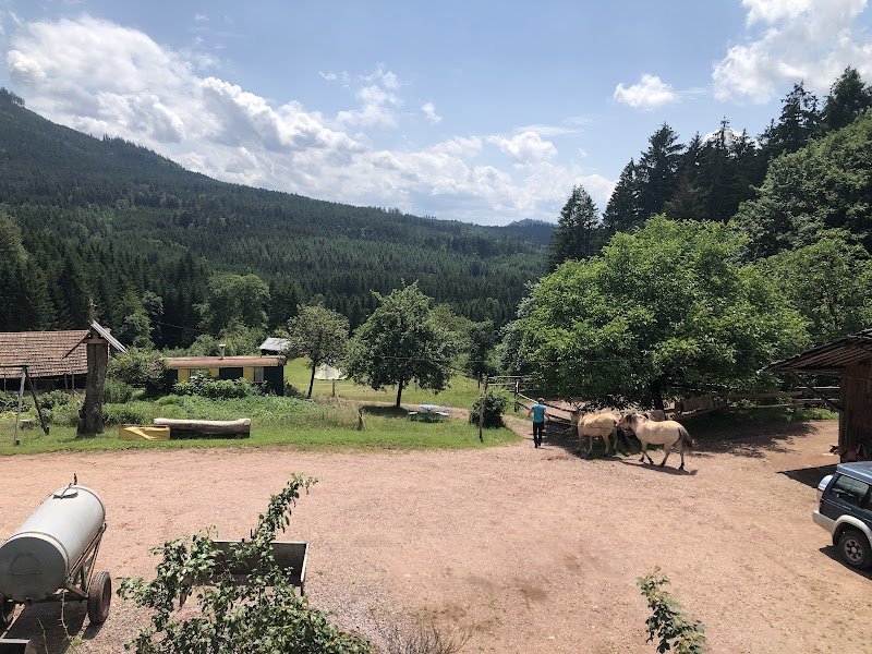 La Ferme Equestre du Chauffour - photo 2