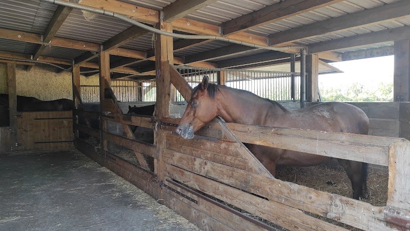 Ecurie du Schal - photo 3