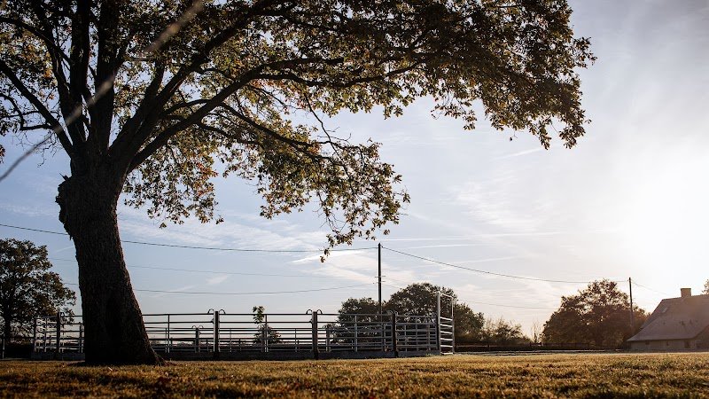 Ecurie "Domaine d'illiers"