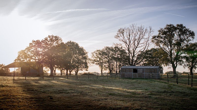 Ecurie "Domaine d'illiers" - photo 2
