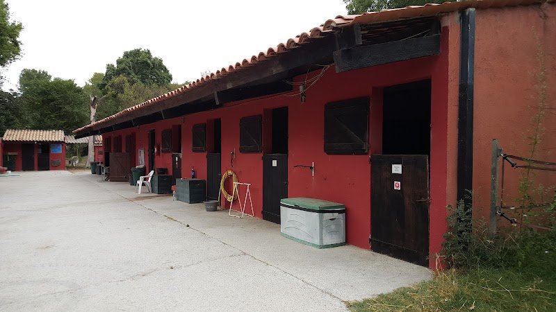 Le Royaume Du Cheval - photo 1