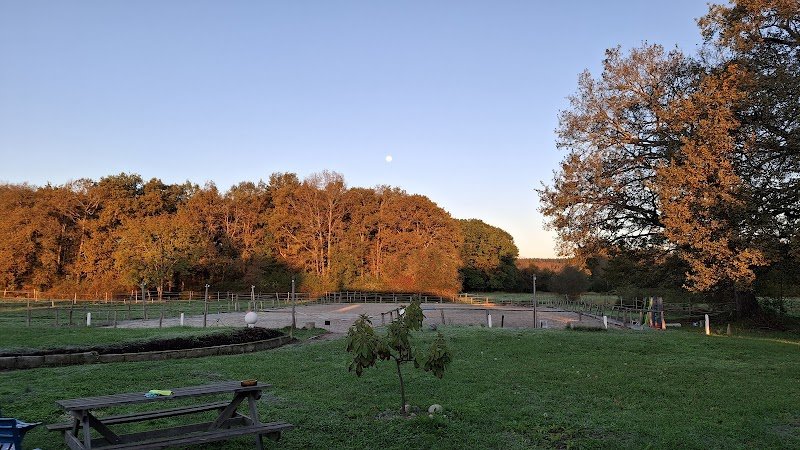 Écuries Domaine du Mardaing - Pension de propriétaires - Ibos