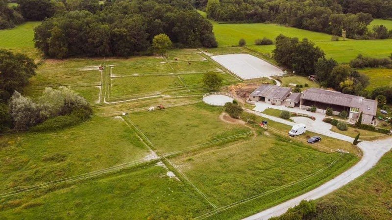 Écuries Domaine du Mardaing - Pension de propriétaires - Ibos - photo 2