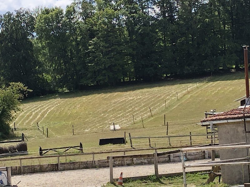 Écurie Kelija - photo 3