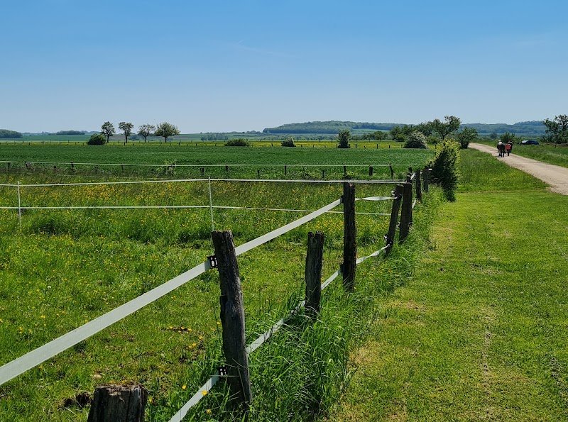 Écurie del Sol - photo 3