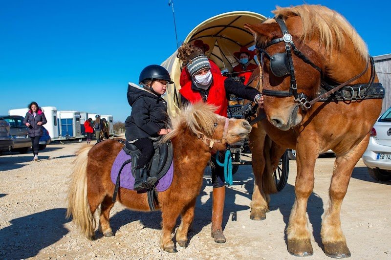 Ferme et Ecurie du Vermois - photo 2