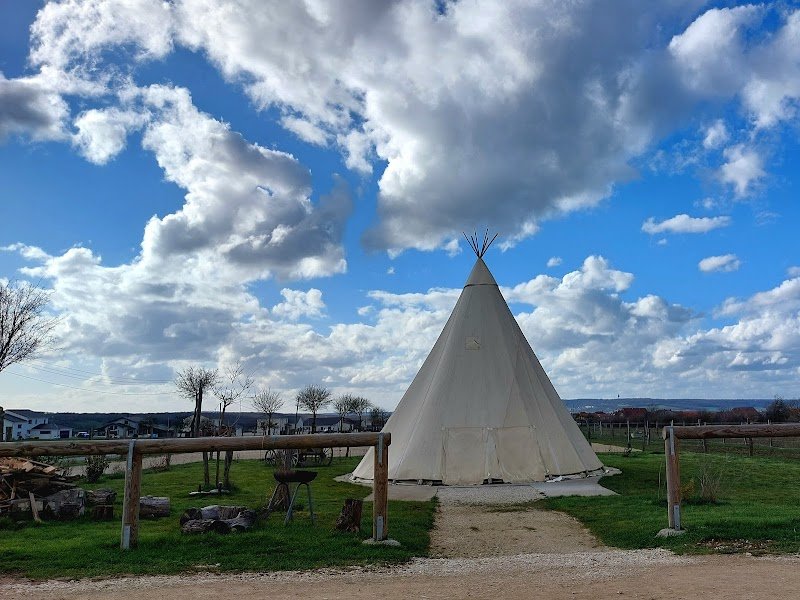 Ferme et Ecurie du Vermois - photo 3