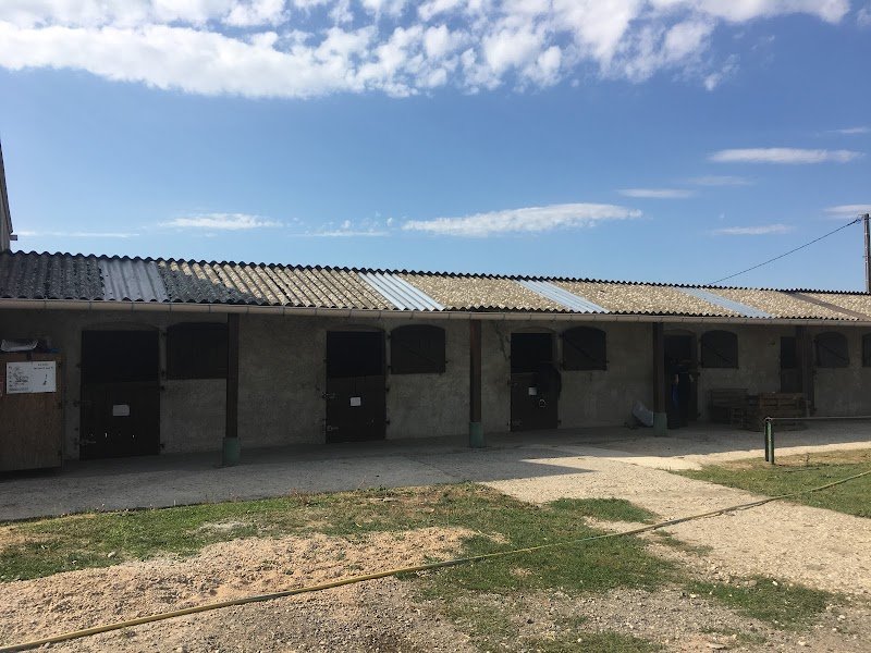 Ferme equestre de la perele - photo 1