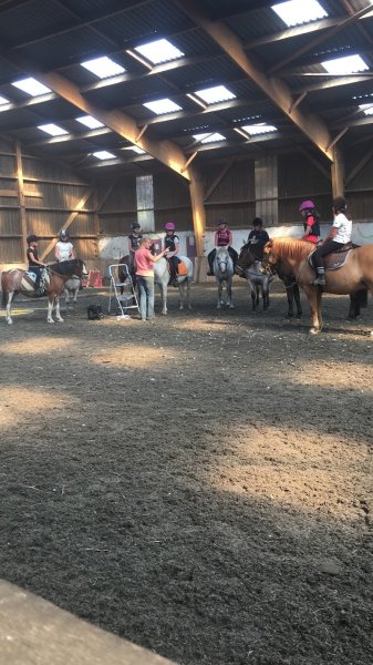 Ferme equestre de la perele - photo 3