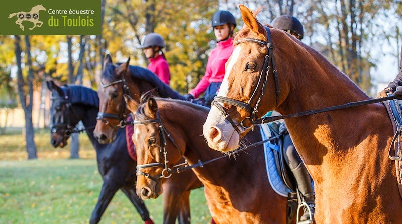 Centre Équestre du Toulois