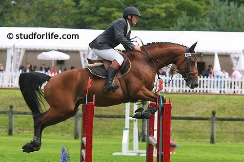 Ecurie Thierry KLEIN