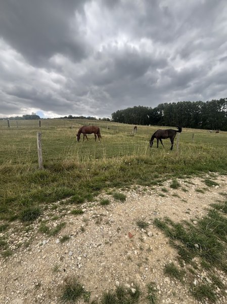 Cavaliers de Bel Air - photo 3