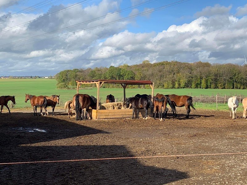 Ecurie MVLS - photo 2