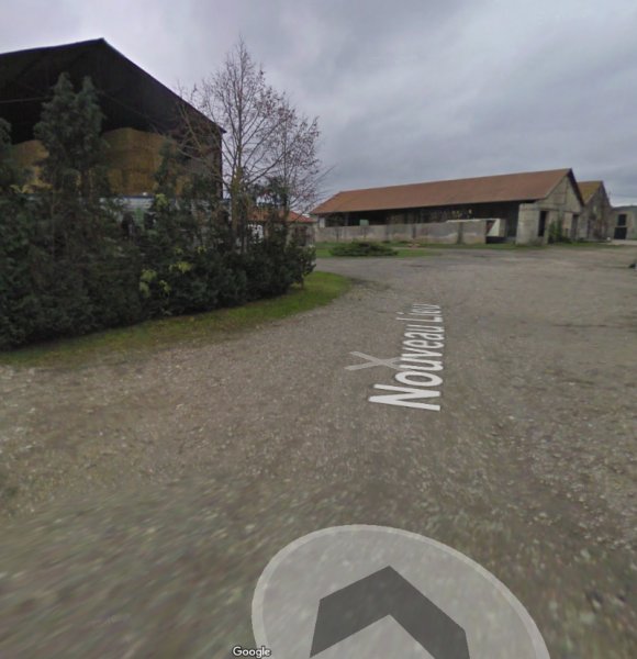 SMG Horses - photo 1