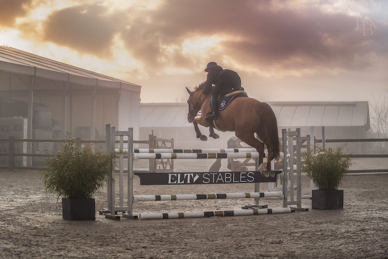 Elti stables - photo 1