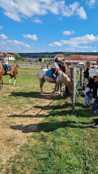 Ecurie de l'Euron - photo 1