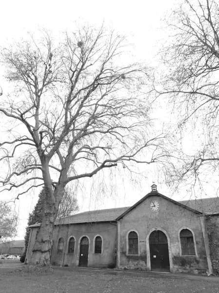 Haras National de Rosières-aux-Salines - photo 3