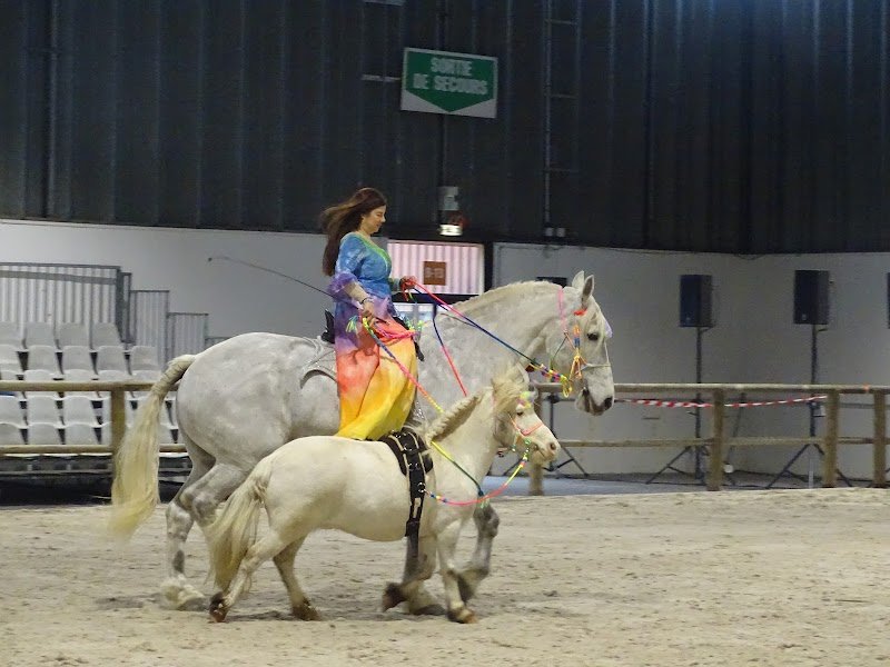 Cheval Expo Nancy - photo 1