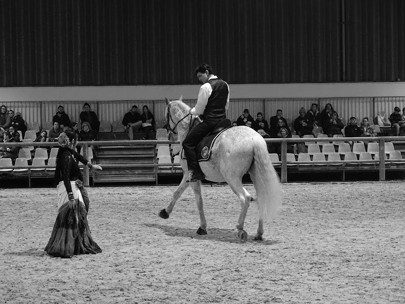 Cheval Expo Nancy - photo 2