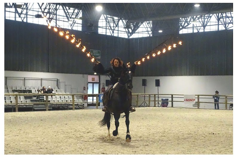 Cheval Expo Nancy - photo 3