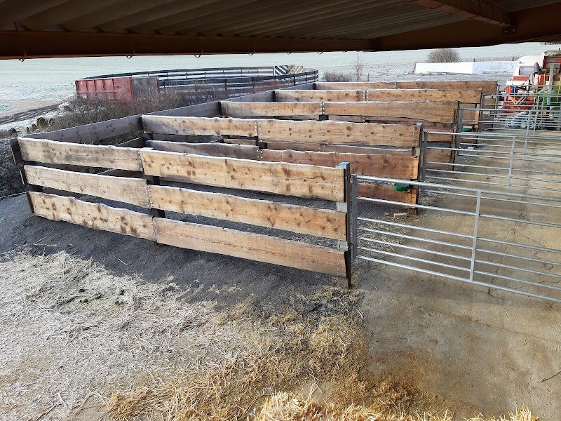 Ecurie des 4 chemins - photo 1