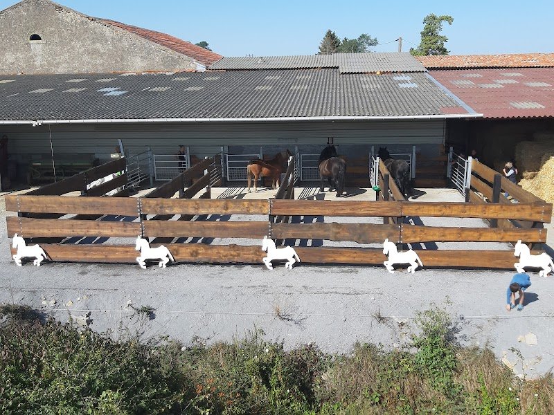 Ecurie des 4 chemins - photo 2